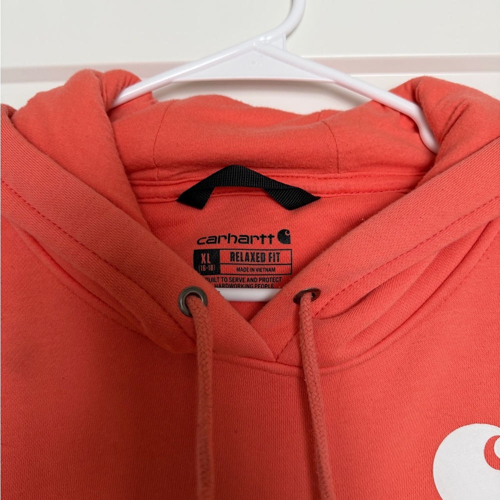 Carhartt Salmon Hoodie